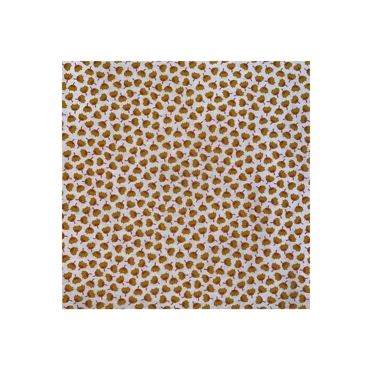 Tiny Flowers in Shell