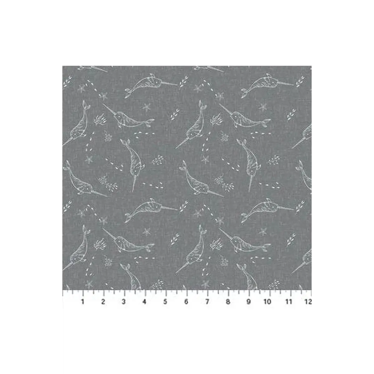 Calm Waters Narwhals