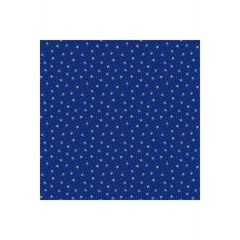 Party Time, Stars - 90827M