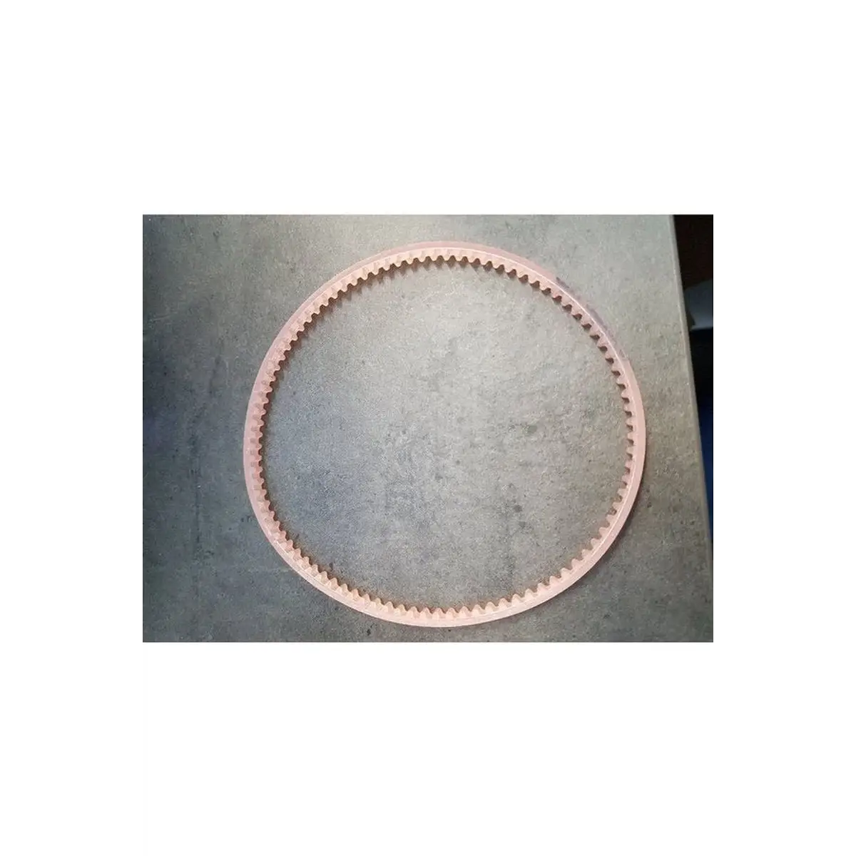Motor Belt 14 3/4 inch Lugged