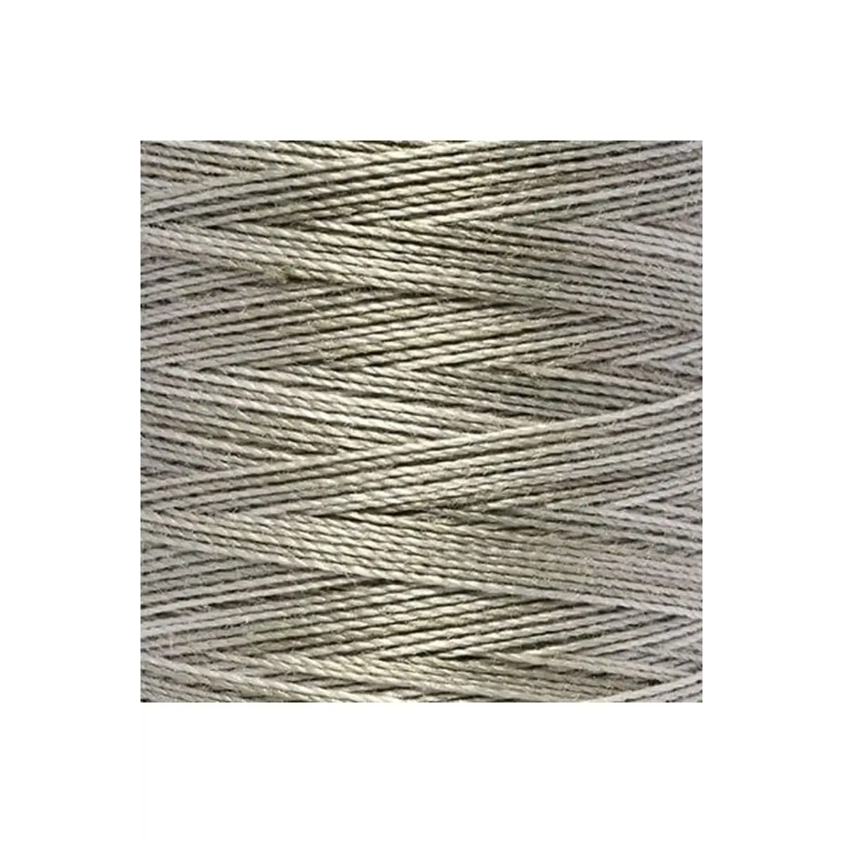 Gütermann Variegated Thread: 30wt - 328 yds Col. 9902