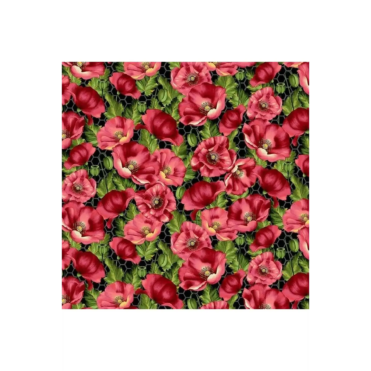 Fabric, Henry Glass Bloomin' Poppies 2734-89