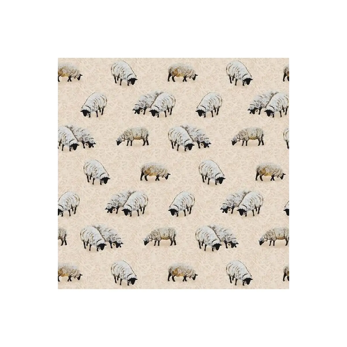 Down on the Farm - Sheep