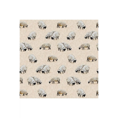 Down on the Farm - Sheep