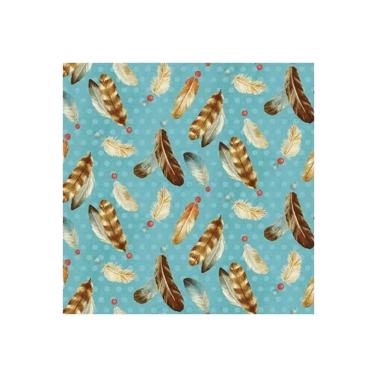 Dream Catchers Multi Tossed Feathers