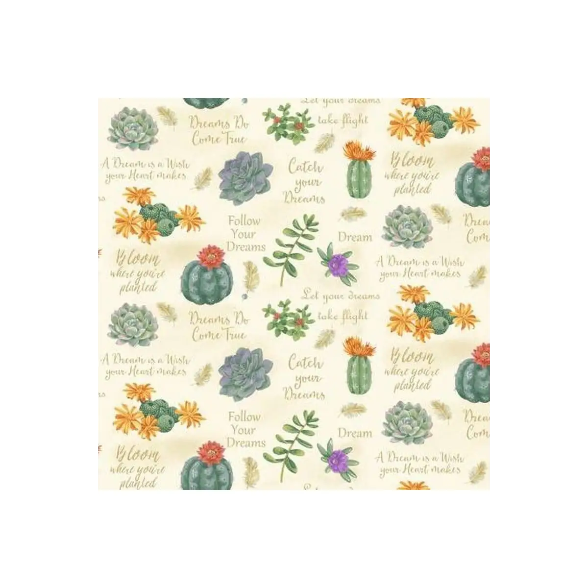 Dream Catchers Succulents and Sayings