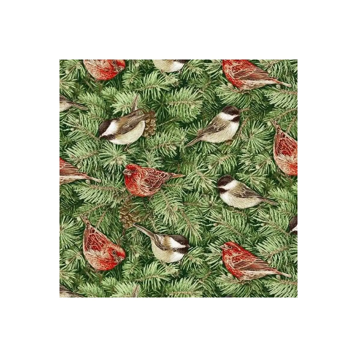 Holiday Botanical Green Birds on Pine Branches