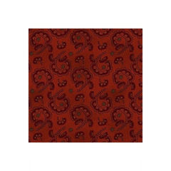 Idaho Prairie Star 1915-88 Red