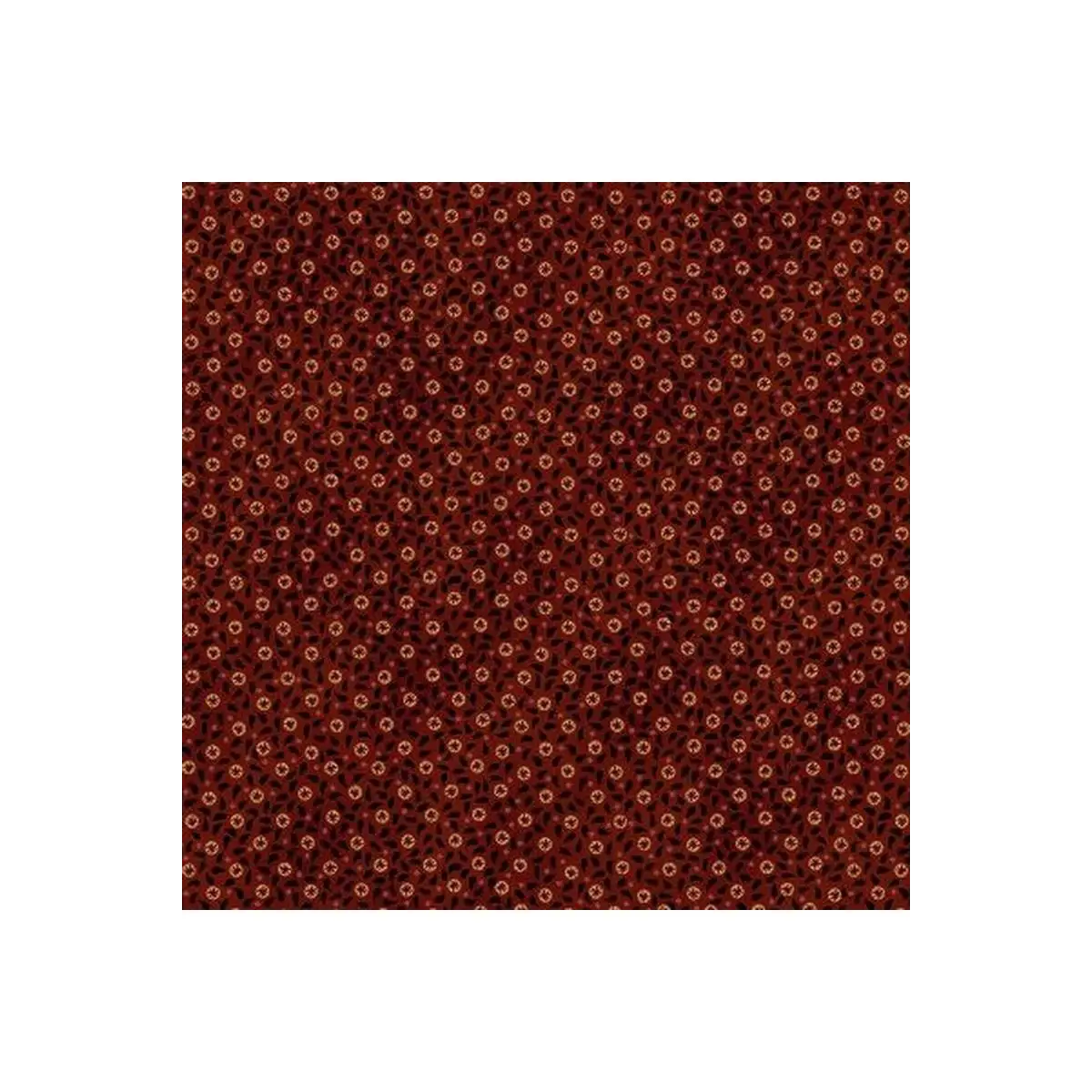 Idaho Prairie Star 1916-88