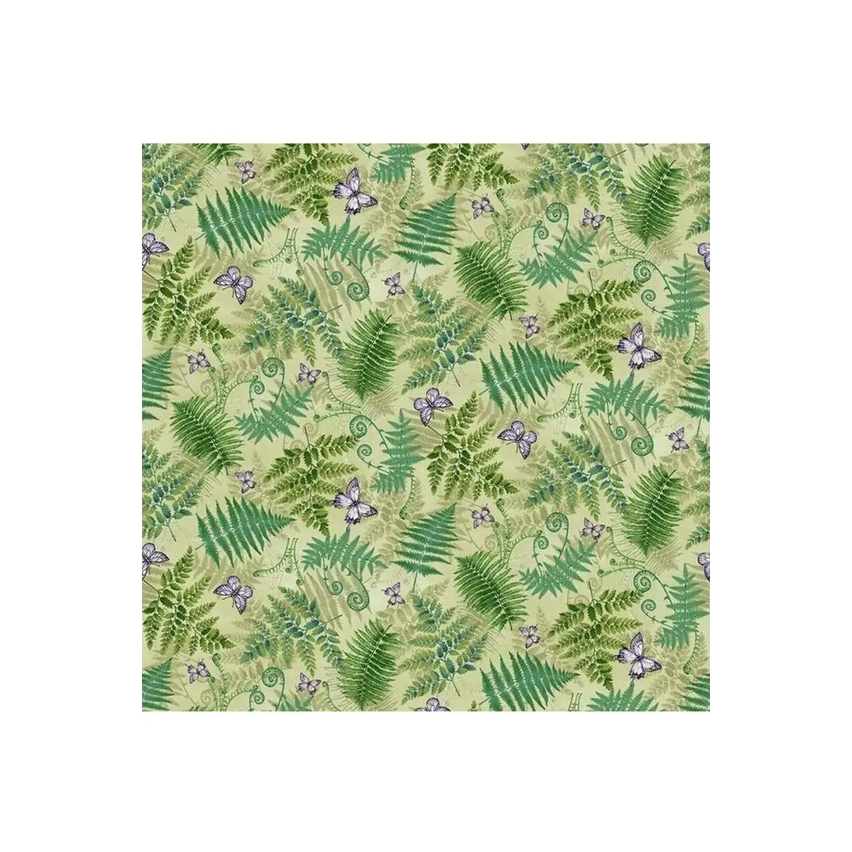 Nature's Affair, Ferns - 3158-66