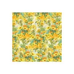 Fabric, Quiltex Fabrics, In The Beginning - Decoupage Collection