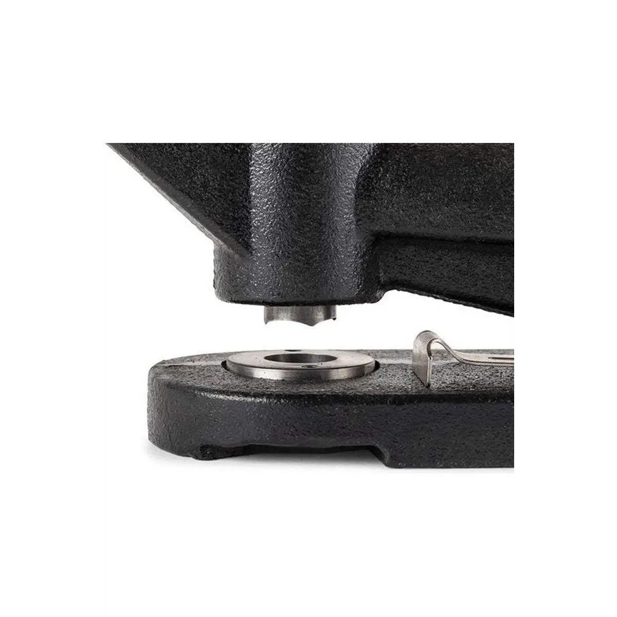 Rabbit Pattern Punch - 3/4" Holes