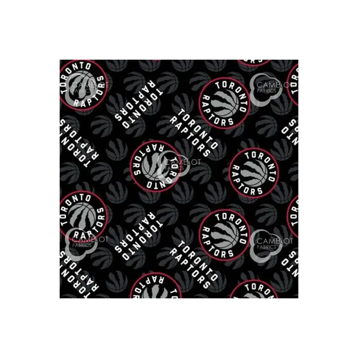 NBA Toronto Raptors Fleece