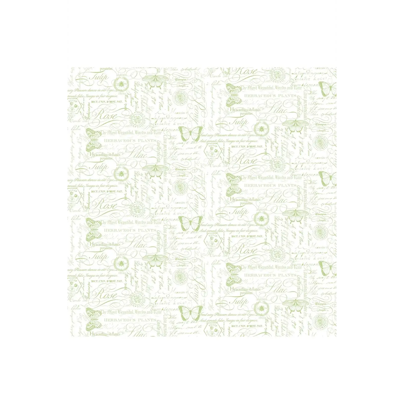 Fabric, Northcott Fabrics, Deborah's Garden, White Toile - DP256000-10