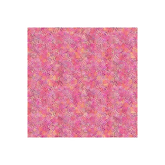 Fabric, Northcott -Dragonfly Dreams Dots Circular - DP24832