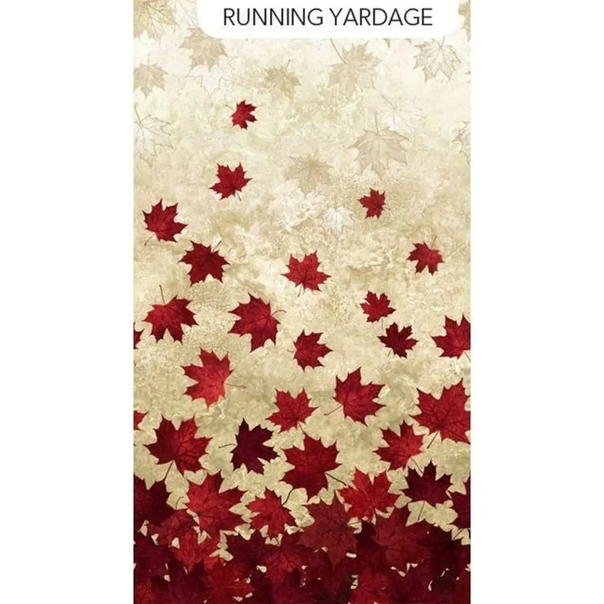 Oh Canada 10th Anniversary 24264-14