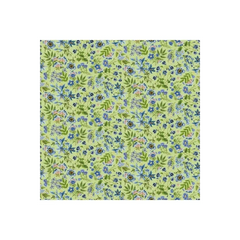 Fabric, Northcott, Something Blue Small Floral - DP25080