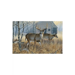 Whitetail Woods Panel - DP24885-43