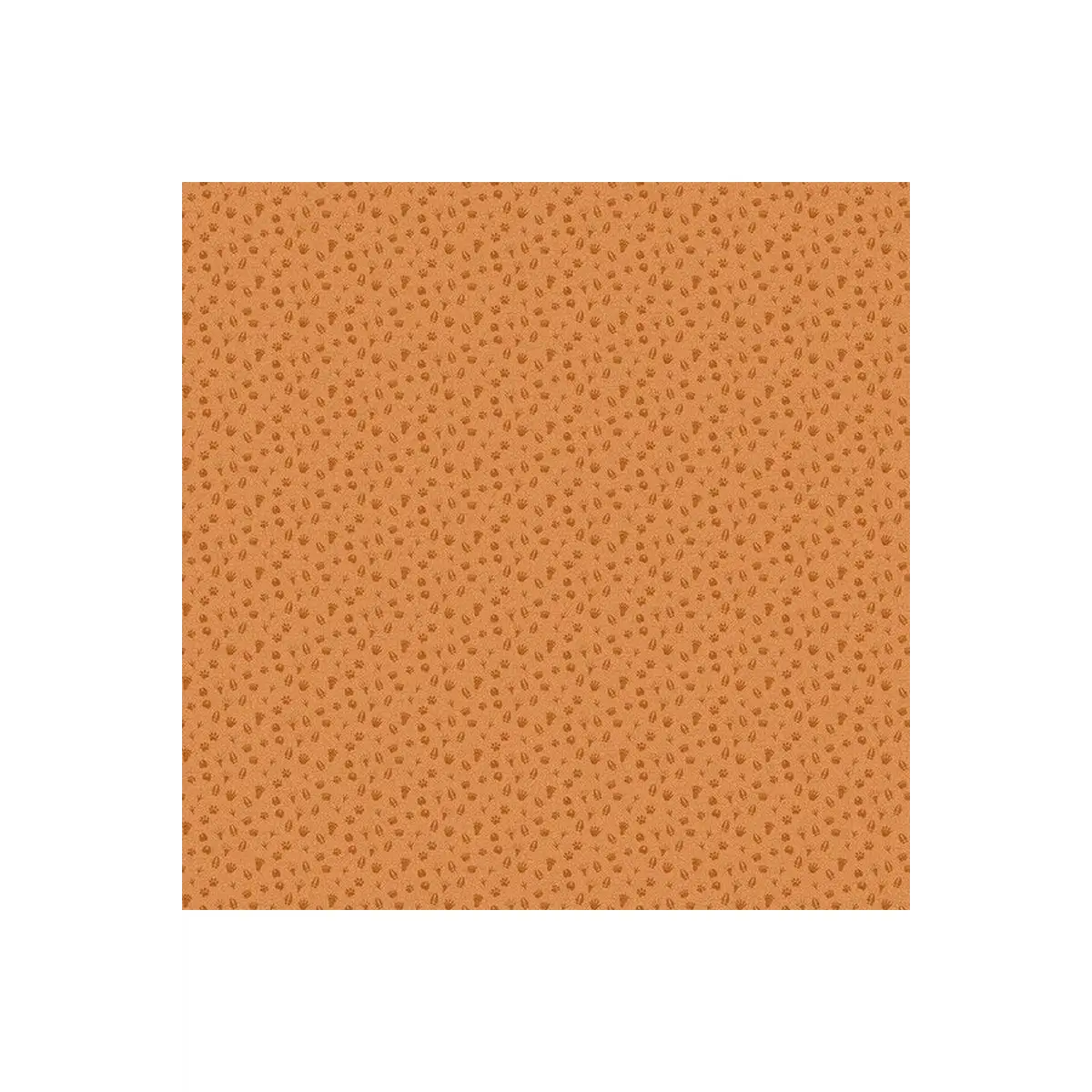 Woodland Advetures Paw Prints - 25270