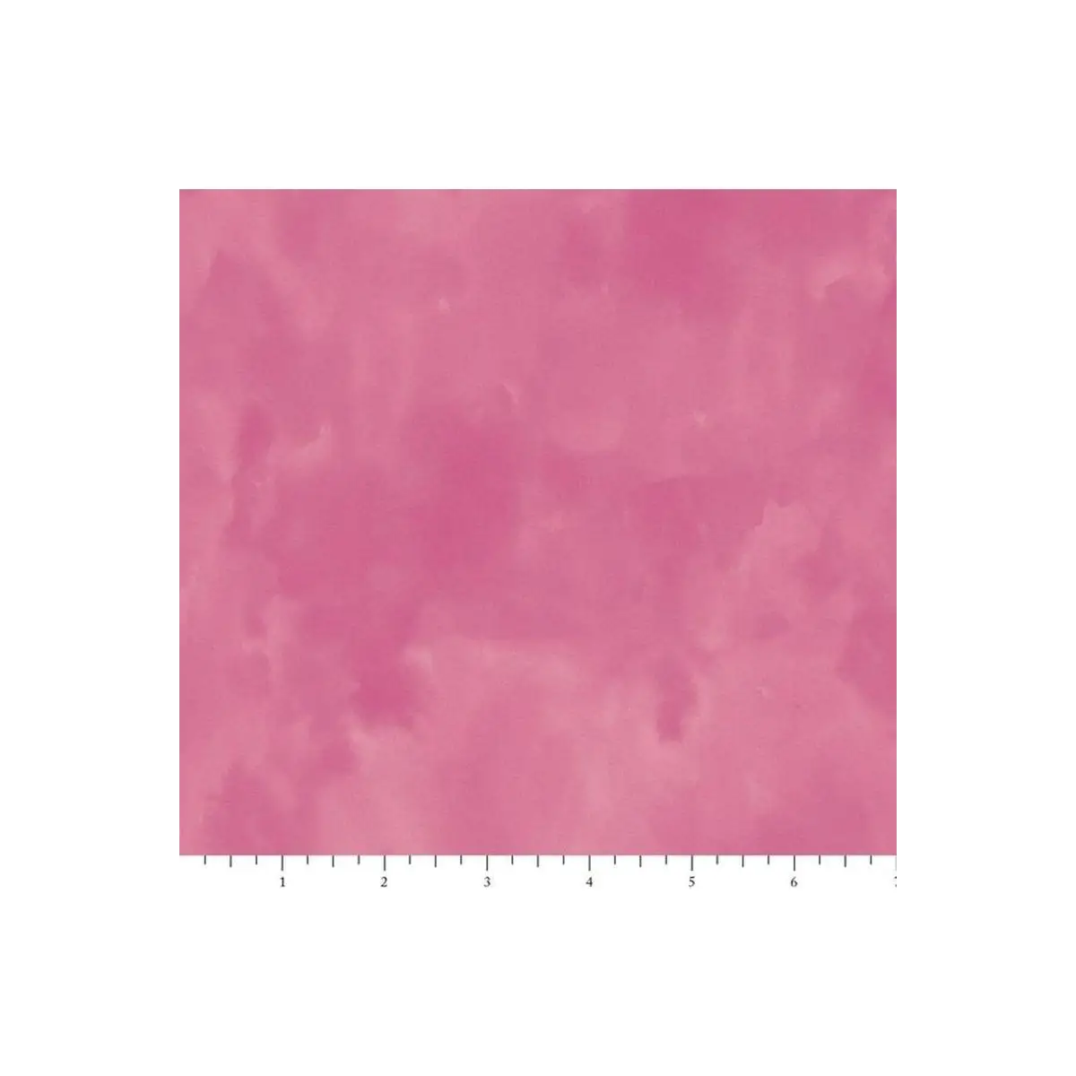 Bird & Bloom, Raspberry Color Wash - PH0167