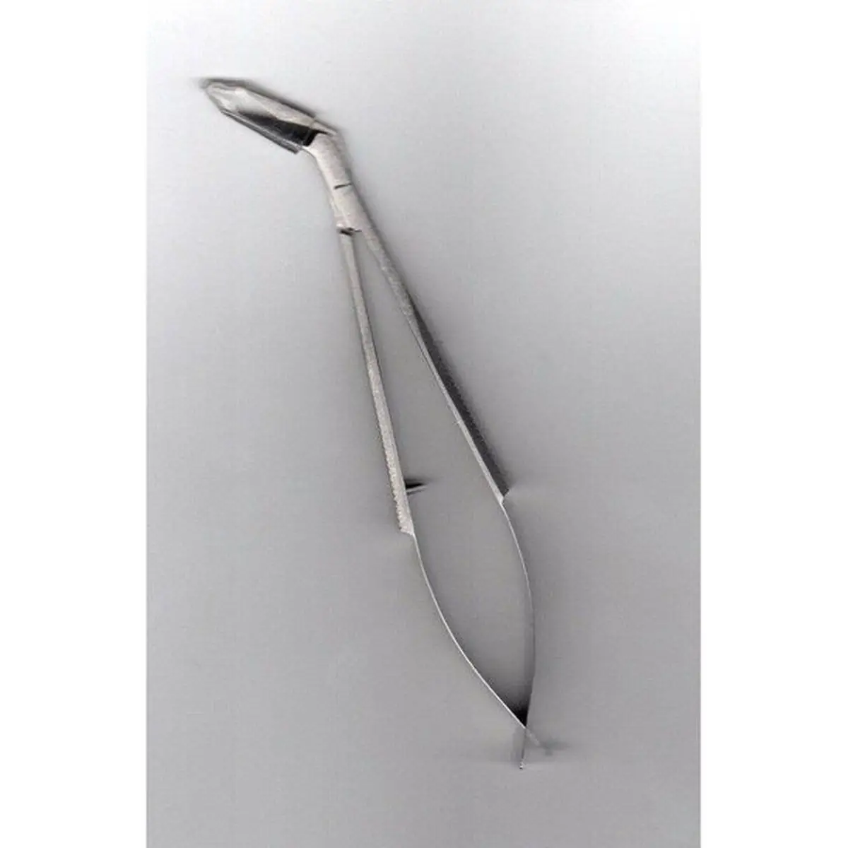 Sewing Scissors Stainless
